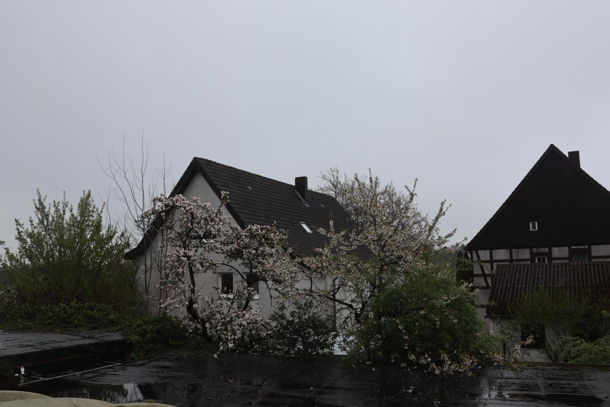 Hotel Haarener Hof บาดวึนเน็นแบร์ก ภายนอก รูปภาพ